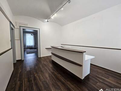 Gewerbeobjekt mieten in 8020 Graz (Bild 1)