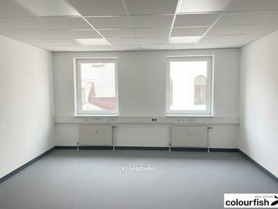 Gewerbeobjekt mieten in 1060 Wien (Bild 4)