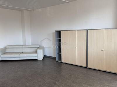 Gewerbeobjekt mieten in 2751 Steinabrückl (Bild 3)