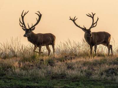 Gewerbeobjekt kaufen in 1010 Wien