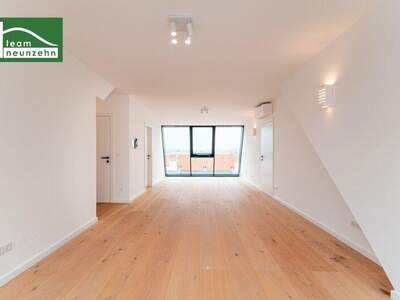 Terrassenwohnung kaufen in 1220 Wien (Bild 1)