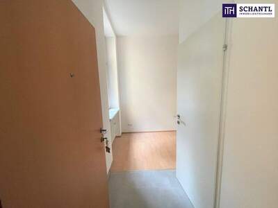 Wohnung kaufen in 8010 Graz (Bild 4)