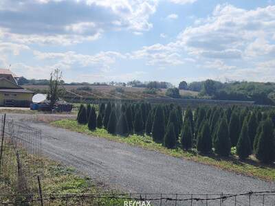 Gewerbeobjekt kaufen in 9771 Balogunyom (Bild 5)