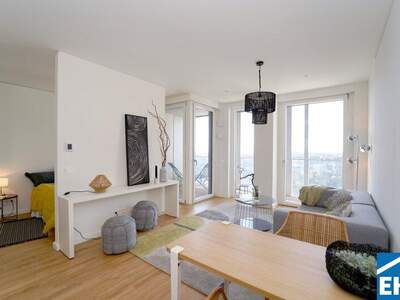 Terrassenwohnung mieten in 1220 Wien (Bild 2)