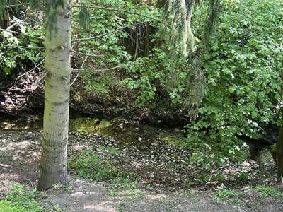 Mehrfamilienhaus kaufen in 3001 Mauerbach (Bild 3)