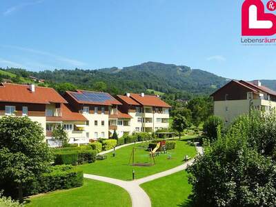 Wohnung mieten in 4560 Kirchdorf (Bild 3)