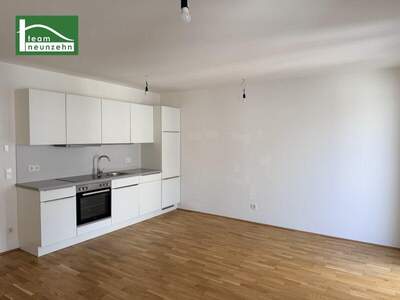 Terrassenwohnung mieten in 1160 Wien (Bild 1)