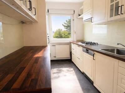 Terrassenwohnung kaufen in 2345 Brunn (Bild 2)