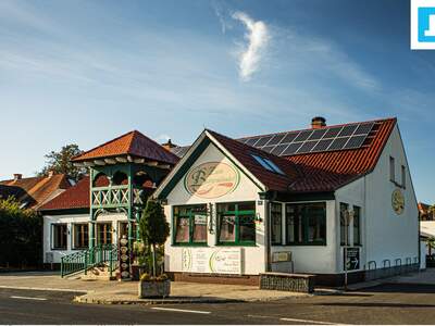 Gewerbeobjekt kaufen in 7422 Riedlingsdorf