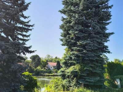 Haus kaufen in 7035 Steinbrunn (Bild 4)
