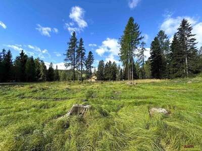 Grundstück kaufen in 9571 Albeck