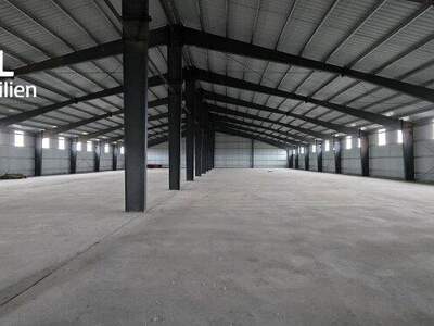 Lager kaufen in 2272 Ringelsdorf (Bild 1)