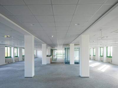 Gewerbeobjekt mieten in 1220 Wien