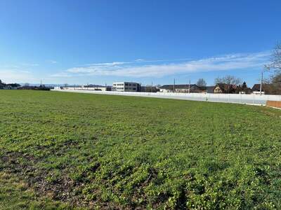 Grundstück kaufen in 8403 Lebring (Bild 4)