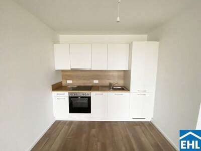 Terrassenwohnung mieten in 3451 Michelhausen (Bild 2)