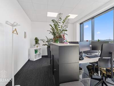 Gewerbeobjekt mieten in 4060 Leonding