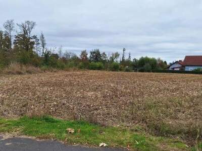 Grundstück provisionsfrei kaufen in 8490 Bad Radkersburg