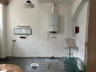 Mehrfamilienhaus kaufen in 1130 Wien (Bild 5)