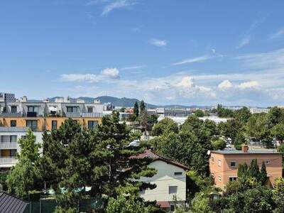 Terrassenwohnung kaufen in 1210 Wien (Bild 4)