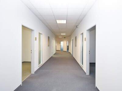 Büro / Praxis mieten in 1230 Wien (Bild 3)