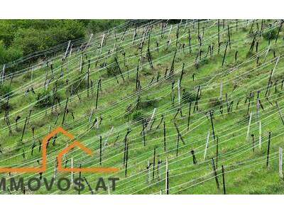 Grundstück kaufen in 3400 Klosterneuburg