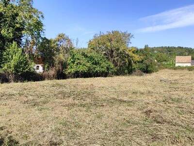 Grundstück kaufen in 2103 Langenzersdorf (Bild 4)