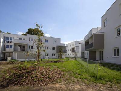 Wohnung mieten in 3150 Wilhelmsburg