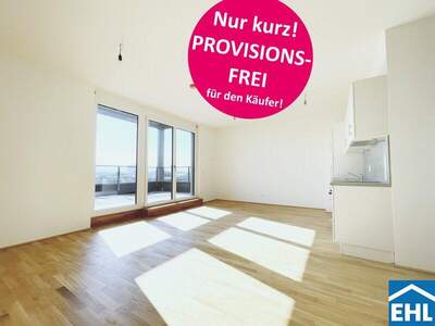 Terrassenwohnung kaufen in 1220 Wien (Bild 1)