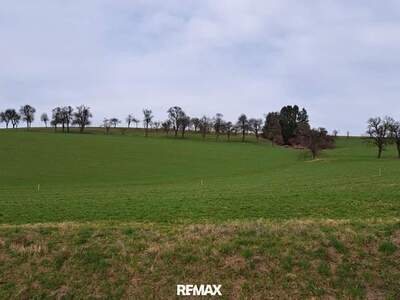 Grundstück kaufen in 3352 St. Peter