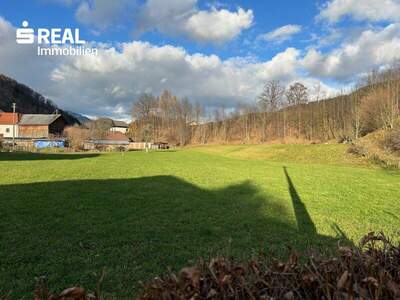 Grundstück kaufen in 3335 Weyer (Bild 2)