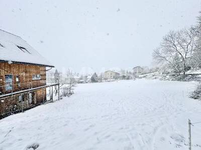 Grundstück kaufen in 6833 Klaus