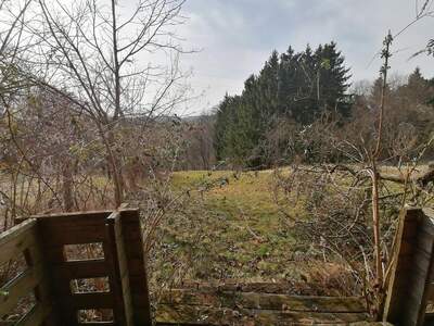 Gewerbeobjekt kaufen in 8342 Gnas (Bild 4)