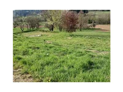 Grundstück provisionsfrei kaufen in 8062 Kumberg