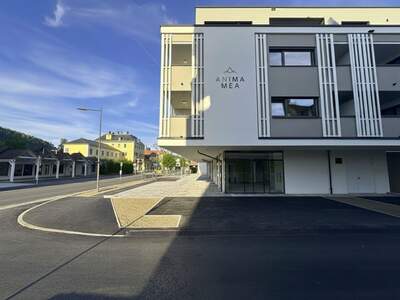 Gewerbeobjekt kaufen in 9210 Pörtschach (Bild 3)