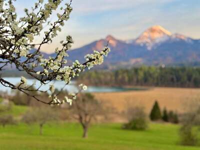 Terrassenwohnung kaufen in 9583 Faak (Bild 4)