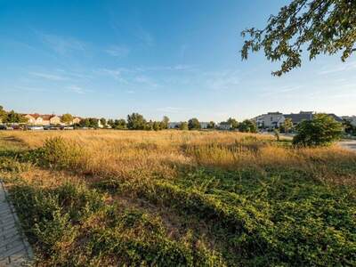 Grundstück kaufen in 7100 Neusiedl