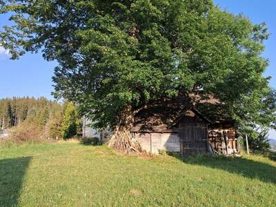 Immobilie mieten in 8153 Geistthal (Bild 3)