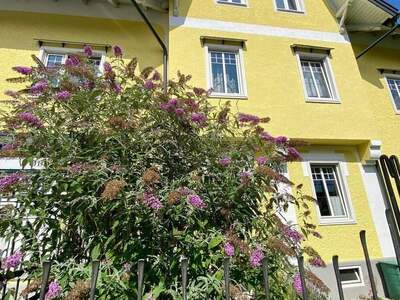 Mietwohnung provisionsfrei in 4810 Gmunden