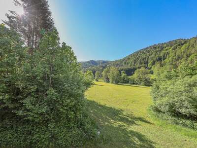 Einfamilienhaus kaufen in 6383 Erpfendorf (Bild 5)