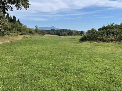 Grundstück kaufen in 9062 Moosburg