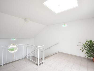 Gewerbeobjekt mieten in 1110 Wien (Bild 3)