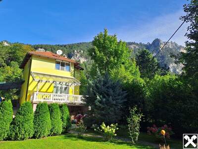 Haus kaufen in 2733 Oberhöflein (Bild 1)