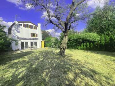 Haus mit Garten kaufen in 3421 Höflein (Bild 2)