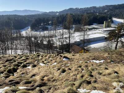 Grundstück kaufen in 8551 Wies