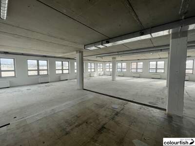 Gewerbeobjekt mieten in 1230 Wien (Bild 5)