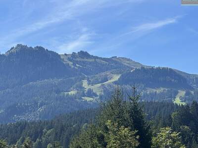 Grundstück kaufen in 6370 Kitzbühel (Bild 3)