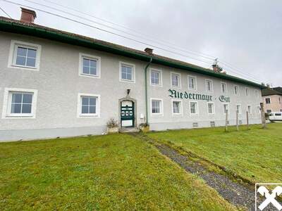 Gewerbeobjekt mieten in 4616 Weißkirchen (Bild 1)