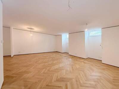 Gewerbeobjekt mieten in 1010 Wien