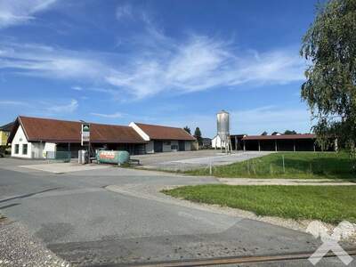 Gewerbeobjekt kaufen in 8510 Stainz