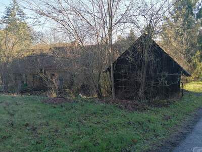 Haus kaufen in 8505 Sankt Nikolai (Bild 4)